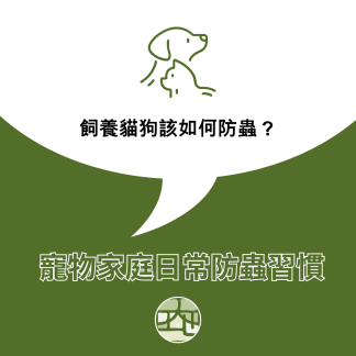 飼養寵物的家庭，這幾個日常習慣可以有效減少蟲害