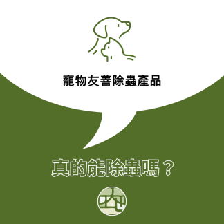 寵物友善除蟲產品，真的能除蟲嗎？已有蟲害該怎麼辦