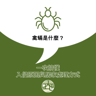 禽蟎是什麼？從入侵原因到居家處理一次搞懂