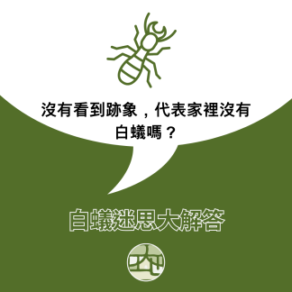 白蟻迷思大解答：沒有看到跡象，代表家裡沒有白蟻嗎？