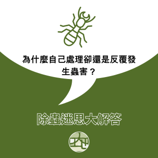除蟲迷思大解答：自己噴藥為什麼一直沒效？